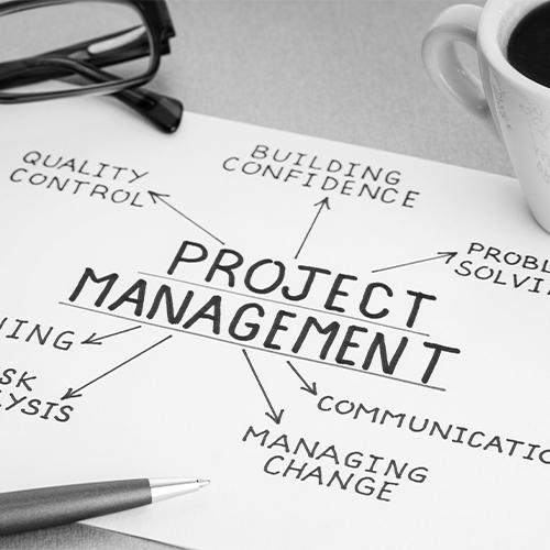 Project Management Services